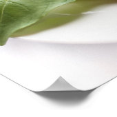 Affiche sur les aliments italiens sains (Coin)