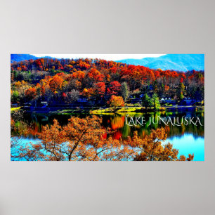 AFFICHE SUR TOILE GLOSS PREMIUM 50 X 27 LAKE JUNAL