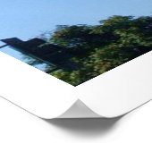 Affiche TALL PALM TREE (Coin)