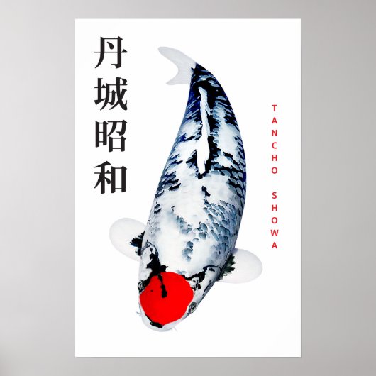 Affiche Tancho Showa Koi Élégance (Devant)
