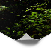 affiche TAUGHANNOCK FALLS (Coin)