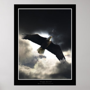 Affiche "Tempête d'aigle"