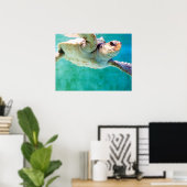 Affiche Tortue Caouanne #3 (Bureau à domicile)