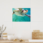 Affiche Tortue Caouanne #3 (Cuisine)