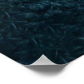 Affiche Tortue de Mer Impression Tortue de Mer Pos (Coin)