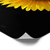 Affiche Tournesol (Coin)