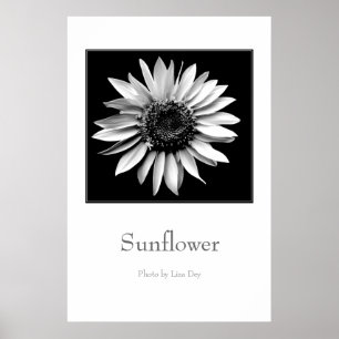 Affiche 'Tournesol'