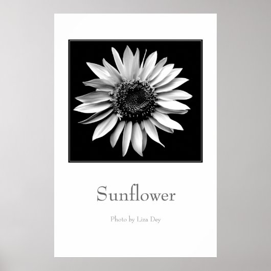 Affiche 'Tournesol' (Devant)