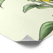 Affiche tournesol à l'aquarelle (Coin)