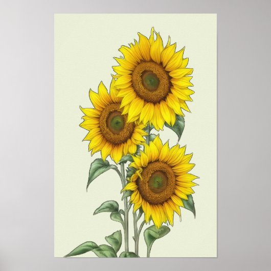 Affiche tournesol à l'aquarelle (Devant)