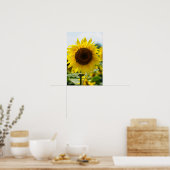 Affiche - Tournesol Isolé (Cuisine)