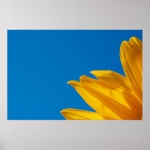 Affiche Tournesol Jaune & Ciel Azur