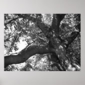 Affiche Tranquillité (Devant)