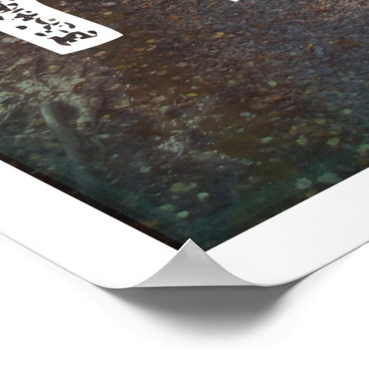 Affiche Travel Everywhere (Coin)