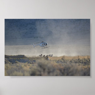 Affiche triple du Nevada de vallée de butte de