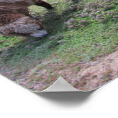 Affiche - Trois moutons (Coin)