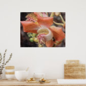 Affiche tropicale hawaïenne de fleur (Cuisine)