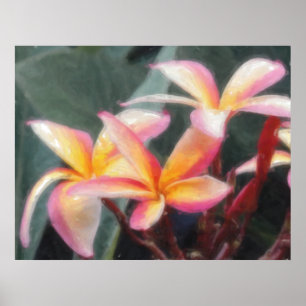 Affiche tropicale hawaïenne de Plumeria