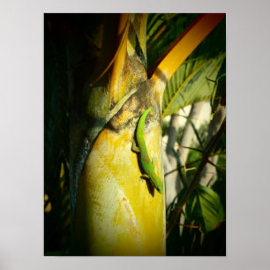 Affiche tropicale hawaïenne gecko