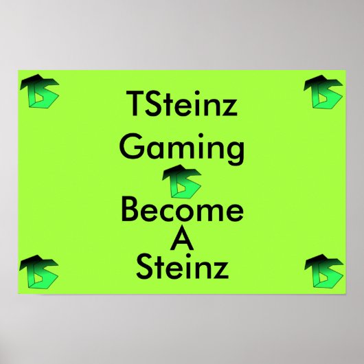 Affiche TSteinz (Devant)