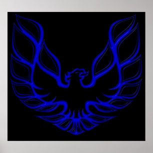 Affiche Ventre-SE-Bleue