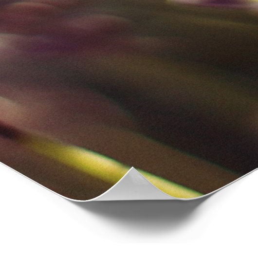 Affiche Verse Ecclesiastes (Coin)