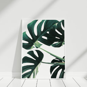 Affiche verte de photographie de Monstera