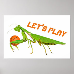 Affiche verte géante de basket-ball de mante de