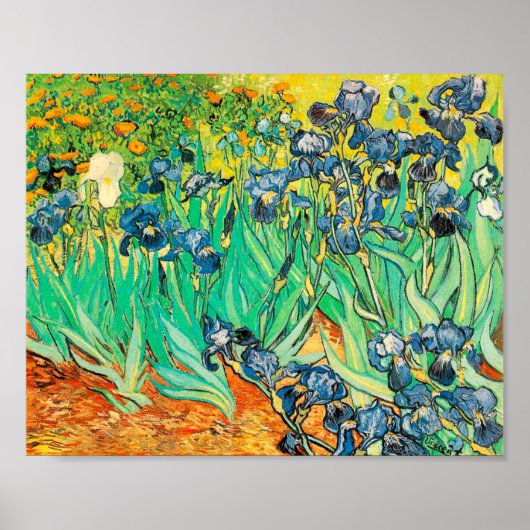 Affiche Vincent van Gogh Irises 1889 Fleurs Bleues (Devant)