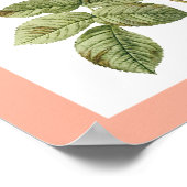 Affiche vintage 2 (Coin)