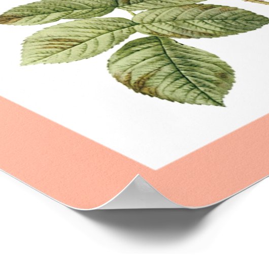 Affiche vintage 2 (Coin)