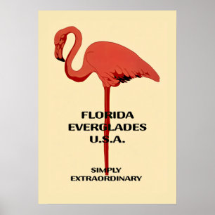 Affiche vintage 20x28 flamant rose Floride