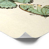 Affiche vintage de papillons (Coin)