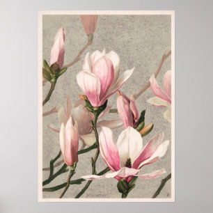 Affiche vintage illustrée