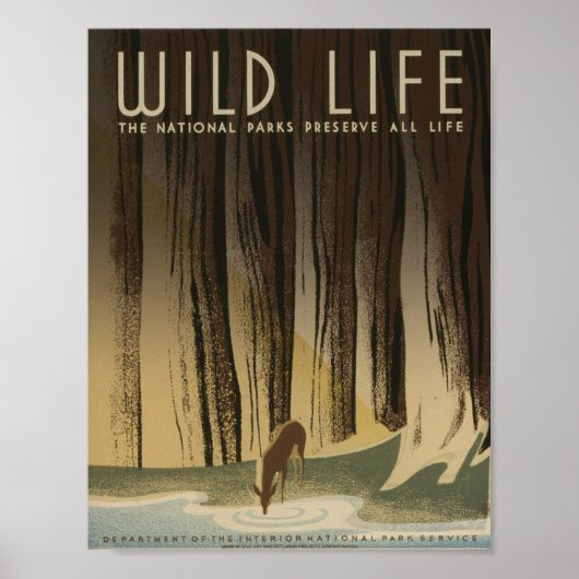 Affiche vintage WPA de la vie sauvage (Devant)