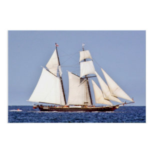 Affiche Voile