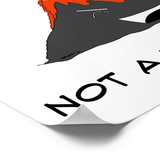 Affiche VolCANo (Coin)