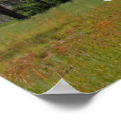 Affiche Voyage à New Places (Coin)