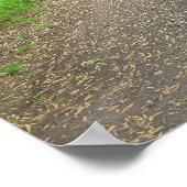 Affiche Walk The Path (Coin)