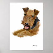 Affiche Welsh Terrier (Devant)
