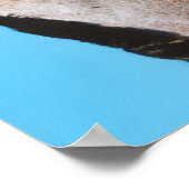 Affiche Western Quarter Horse (Coin)