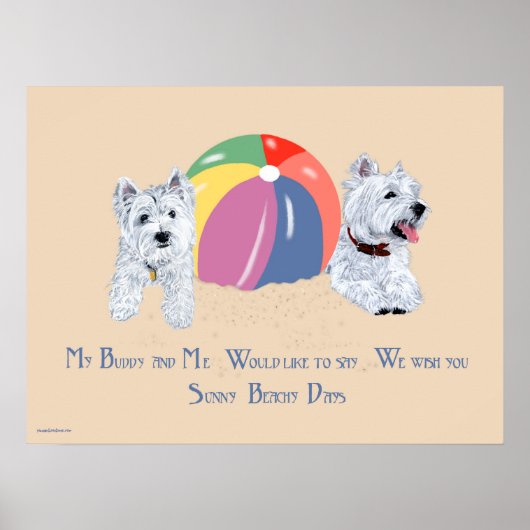 Affiche Westies avec un ballon de plage (Devant)