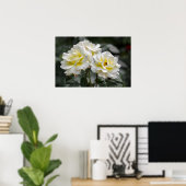 Affiche White Rose Photography (Bureau à domicile)