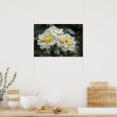 Affiche White Rose Photography (Cuisine)