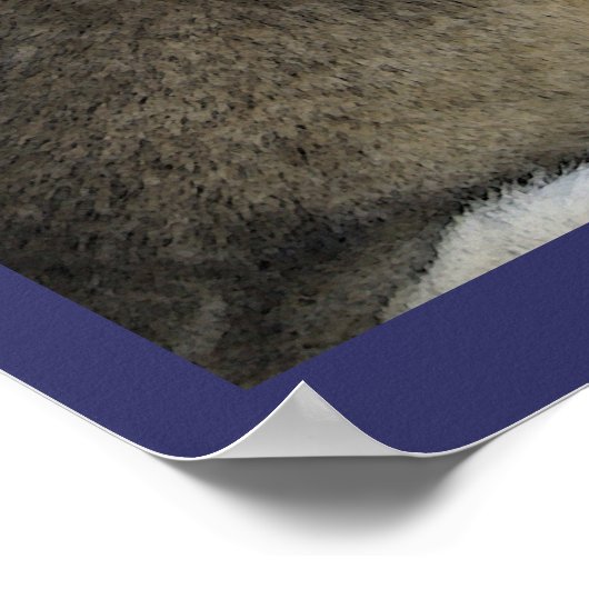 Affiche WOLF HOWL & MOON Art (Coin)