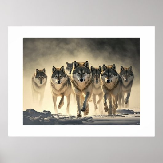 Affiche Yellowstone Wolves (Devant)