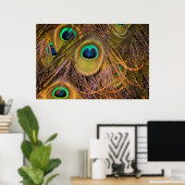 Affiche Yeux de Plume de Paon (Bureau à domicile)