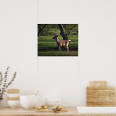 Affiche Young Buck (Cuisine)