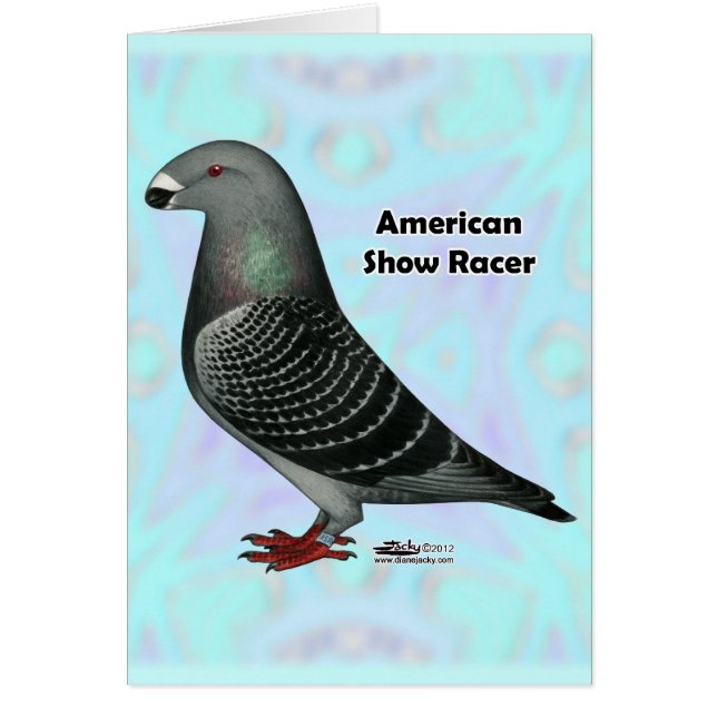 Afficher l'ASR racer (Devant)