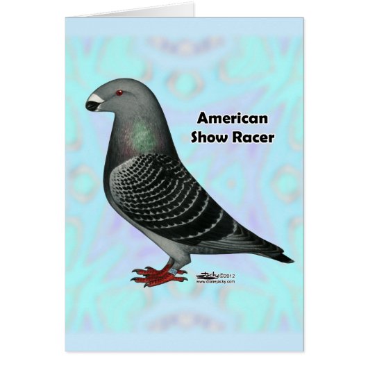 Afficher l'ASR racer (Devant)